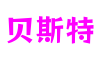 北京市贝斯特技术服务有限公司